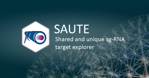 Saute